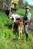 (Photo: M. Hertel) Olaf and Fanny with a tame baby moose of the Pleistocene Park. 