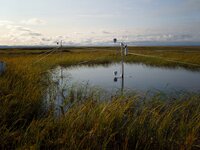 Measuring station in a lake, photo: Julia Boike, Alfred-Wegener-Institute