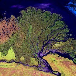 Lena River Delta, Graphic: Alfred-Wegener-Institute