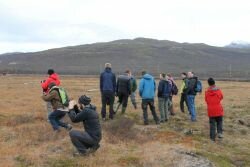 (Photo: Magdalena Tomasik) PAGE21 General Assembly participants taking photos during the excursion to mires. 