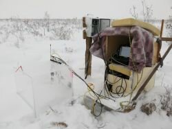 Chamber measurement in winter time (with evolving sledge) 