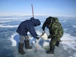 Plankton sampling. Photo by Sonya Antonova small