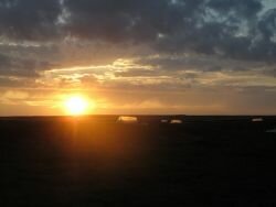 (photo: Richard and Carolina) Early morning sunrise over study site