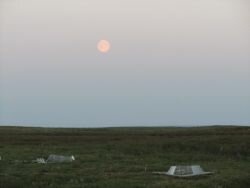 (Photo: Richard and Carolina) Moon over flux sites of warming experiment