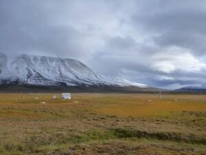 The Monitoring Station